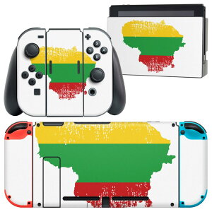 igsticker Nintendo Switch p fUCXLV[ CV jeh[ XCb` p {̃hbN Joy-Con Joycon WCR p Q[@ Jo[ ANZT[ tB XebJ[ 018874  lithuan