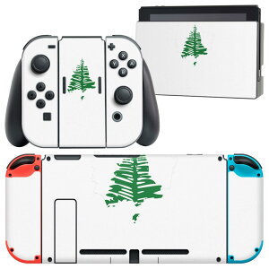 igsticker Nintendo Switch p fUCXLV[ CV jeh[ XCb` p {̃hbN Joy-Con Joycon WCR p Q[@ Jo[ ANZT[ tB XebJ[ 018906  norfolk