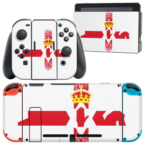 igsticker Nintendo Switch p fUCXLV[ CV jeh[ XCb` p {̃hbN Joy-Con Joycon WCR p Q[@ Jo[ ANZT[ tB XebJ[ 018908  norther