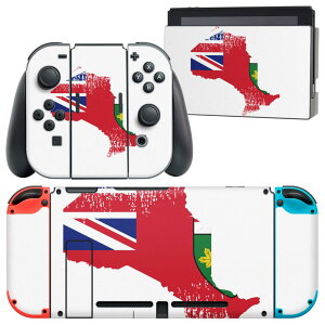 igsticker Nintendo Switch p fUCXLV[ CV jeh[ XCb` p {̃hbN Joy-Con Joycon WCR p Q[@ Jo[ ANZT[ tB XebJ[ 018914  ontario