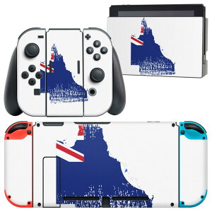igsticker Nintendo Switch p fUCXLV[ CV jeh[ XCb` p {̃hbN Joy-Con Joycon WCR p Q[@ Jo[ ANZT[ tB XebJ[ 018928  queensl