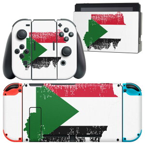 igsticker Nintendo Switch p fUCXLV[ CV jeh[ XCb` p {̃hbN Joy-Con Joycon WCR p Q[@ Jo[ ANZT[ tB XebJ[ 018955  sudan 