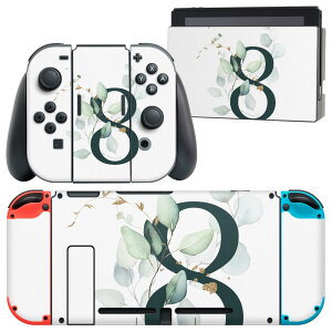 igsticker Nintendo Switch p fUCXLV[ CV jeh[ XCb` p {̃hbN Joy-Con Joycon WCR p Q[@ Jo[ ANZT[ tB XebJ[ 019377 tHg 