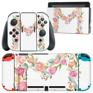 igsticker Nintendo Switch p fUCXLV[ CV jeh[ XCb` p {̃hbN Joy-Con Joycon WCR p Q[@ Jo[ ANZT[ tB XebJ[ 019495 tHg 