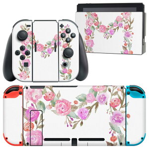 igsticker Nintendo Switch p fUCXLV[ CV jeh[ XCb` p {̃hbN Joy-Con Joycon WCR p Q[@ Jo[ ANZT[ tB XebJ[ 019496 tHg 