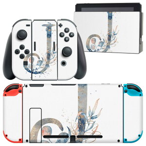 igsticker Nintendo Switch p fUCXLV[ CV jeh[ XCb` p {̃hbN Joy-Con Joycon WCR p Q[@ Jo[ ANZT[ tB XebJ[ 019662 tHg 
