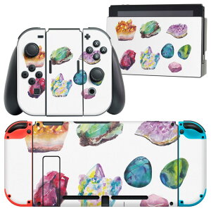 igsticker Nintendo Switch p fUCXLV[ CV jeh[ XCb` p {̃hbN Joy-Con Joycon WCR p Q[@ Jo[ ANZT[ tB XebJ[ 019729 fUC 