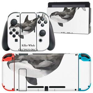 igsticker Nintendo Switch �p �f�U�C���X�L���V�[�� �C�V�� �j���e���h�[ �X�C�b�` ��p �{�̃h�b�N Joy-Con Joycon �W���C�R�� ��p �Q�[���@ �J�o�[ �A�N�Z�T���[ �t�B���� �X�e�b�J�[ 019743 �f�U�C�� 