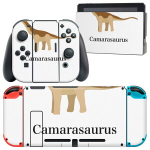 igsticker Nintendo Switch p fUCXLV[ CV jeh[ XCb` p {̃hbN Joy-Con Joycon WCR p Q[@ Jo[ ANZT[ tB XebJ[ 019771   