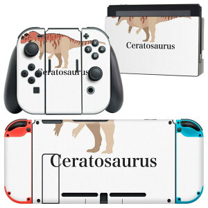 igsticker Nintendo Switch �p �f�U�C���X�L���V�[�� �C�V�� �j���e���h�[ �X�C�b�` ��p �{�̃h�b�N Joy-Con Joycon �W���C�R�� ��p �Q�[���@ �J�o�[ �A�N�Z�T���[ �t�B���� �X�e�b�J�[ 019773 ���� ���� 