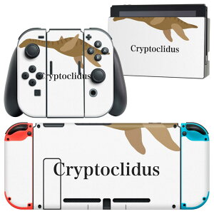 igsticker Nintendo Switch p fUCXLV[ CV jeh[ XCb` p {̃hbN Joy-Con Joycon WCR p Q[@ Jo[ ANZT[ tB XebJ[ 019780   