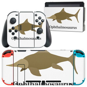 igsticker Nintendo Switch p fUCXLV[ CV jeh[ XCb` p {̃hbN Joy-Con Joycon WCR p Q[@ Jo[ ANZT[ tB XebJ[ 019797 fUC 