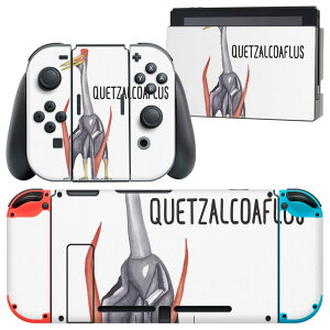 igsticker Nintendo Switch p fUCXLV[ CV jeh[ XCb` p {̃hbN Joy-Con Joycon WCR p Q[@ Jo[ ANZT[ tB XebJ[ 019824   