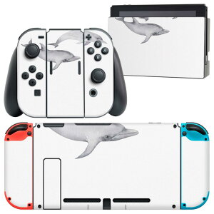 igsticker Nintendo Switch p fUCXLV[ CV jeh[ XCb` p {̃hbN Joy-Con Joycon WCR p Q[@ Jo[ ANZT[ tB XebJ[ 019927 C̐ 