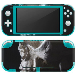 igsticker Nintendo Switch Lite p fUCXLV[ S jeh[ XCb` Cg p Q[@ Jo[ ANZT[ tB XebJ[ GAt[ 000010 @