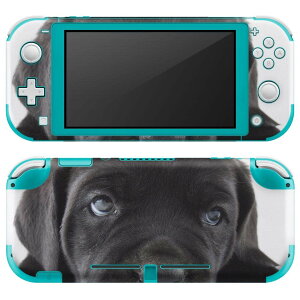 igsticker Nintendo Switch Lite p fUCXLV[ S jeh[ XCb` Cg p Q[@ Jo[ ANZT[ tB XebJ[ GAt[ 000127   t`uhbN 