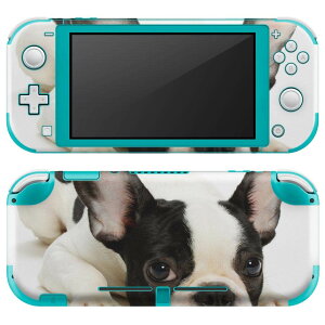 igsticker Nintendo Switch Lite p fUCXLV[ S jeh[ XCb` Cg p Q[@ Jo[ ANZT[ tB XebJ[ GAt[ 000889 @t`uhbN