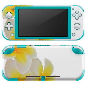 igsticker Nintendo Switch Lite ��p �f�U�C���X�L���V�[�� �S�� �j���e���h�[ �X�C�b�` ���C�g ��p �Q�[���@ �J�o�[ �A�N�Z�T���[ �t�B���� �X�e�b�J�[ �G�A�t���[ 001027 �ԁ@�v�������A