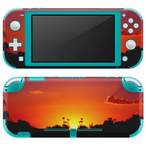 igsticker Nintendo Switch Lite p fUCXLV[ S jeh[ XCb` Cg p Q[@ Jo[ ANZT[ tB XebJ[ GAt[ 001033 [@