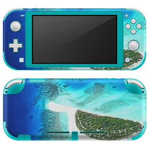 igsticker Nintendo Switch Lite p fUCXLV[ S jeh[ XCb` Cg p Q[@ Jo[ ANZT[ tB XebJ[ GAt[ 001045 @C