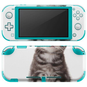 igsticker Nintendo Switch Lite p fUCXLV[ S jeh[ XCb` Cg p Q[@ Jo[ ANZT[ tB XebJ[ GAt[ 001070 L@AJV[gw
