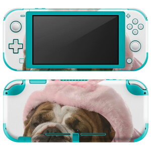 igsticker Nintendo Switch Lite p fUCXLV[ S jeh[ XCb` Cg p Q[@ Jo[ ANZT[ tB XebJ[ GAt[ 001083 @
