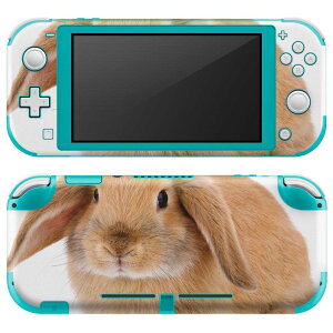 igsticker Nintendo Switch Lite p fUCXLV[ S jeh[ XCb` Cg p Q[@ Jo[ ANZT[ tB XebJ[ GAt[ 001112 @
