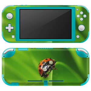igsticker Nintendo Switch Lite p fUCXLV[ S jeh[ XCb` Cg p Q[@ Jo[ ANZT[ tB XebJ[ GAt[ 001144 ĂƂ@