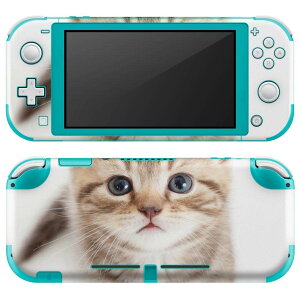 igsticker Nintendo Switch Lite ��p �f�U�C���X�L���V�[�� �S�� �j���e���h�[ �X�C�b�` ���C�g ��p �Q�[���@ �J�o�[ �A�N�Z�T���[ �t�B���� �X�e�b�J�[ �G�A�t���[ 001194 �l�R�@����
