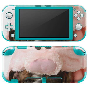 igsticker Nintendo Switch Lite p fUCXLV[ S jeh[ XCb` Cg p Q[@ Jo[ ANZT[ tB XebJ[ GAt[ 001228 @u^@