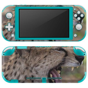 igsticker Nintendo Switch Lite p fUCXLV[ S jeh[ XCb` Cg p Q[@ Jo[ ANZT[ tB XebJ[ GAt[ 002582 @ʐ^@^