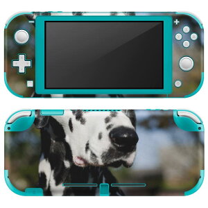 igsticker Nintendo Switch Lite p fUCXLV[ S jeh[ XCb` Cg p Q[@ Jo[ ANZT[ tB XebJ[ GAt[ 002587 @@ʐ^