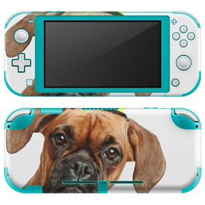 igsticker Nintendo Switch Lite p fUCXLV[ S jeh[ XCb` Cg p Q[@ Jo[ ANZT[ tB XebJ[ GAt[ 002612 @@ʐ^