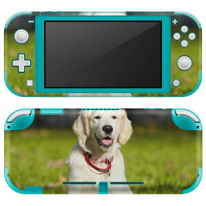 igsticker Nintendo Switch Lite p fUCXLV[ S jeh[ XCb` Cg p Q[@ Jo[ ANZT[ tB XebJ[ GAt[ 002665 @@ʐ^