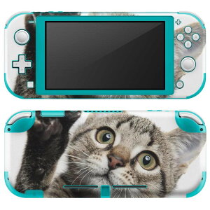 igsticker Nintendo Switch Lite p fUCXLV[ S jeh[ XCb` Cg p Q[@ Jo[ ANZT[ tB XebJ[ GAt[ 002674 L@@ʐ^