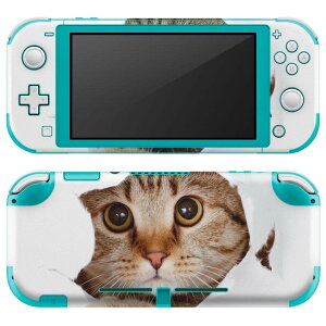 igsticker Nintendo Switch Lite p fUCXLV[ S jeh[ XCb` Cg p Q[@ Jo[ ANZT[ tB XebJ[ GAt[ 002783 L@@ʐ^