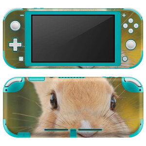 igsticker Nintendo Switch Lite p fUCXLV[ S jeh[ XCb` Cg p Q[@ Jo[ ANZT[ tB XebJ[ GAt[ 002807 @@ʐ^
