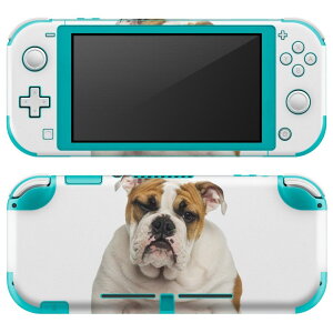 igsticker Nintendo Switch Lite p fUCXLV[ S jeh[ XCb` Cg p Q[@ Jo[ ANZT[ tB XebJ[ GAt[ 002883 @@ʐ^