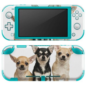 igsticker Nintendo Switch Lite p fUCXLV[ S jeh[ XCb` Cg p Q[@ Jo[ ANZT[ tB XebJ[ GAt[ 002885 @@ʐ^