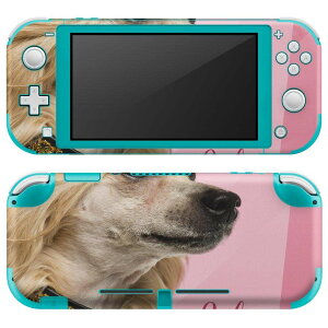 igsticker Nintendo Switch Lite p fUCXLV[ S jeh[ XCb` Cg p Q[@ Jo[ ANZT[ tB XebJ[ GAt[ 002886 @@ʐ^