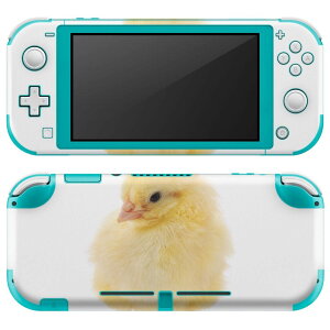 igsticker Nintendo Switch Lite p fUCXLV[ S jeh[ XCb` Cg p Q[@ Jo[ ANZT[ tB XebJ[ GAt[ 002923 @@ʐ^