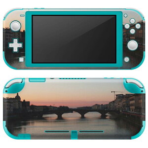 igsticker Nintendo Switch Lite p fUCXLV[ S jeh[ XCb` Cg p Q[@ Jo[ ANZT[ tB XebJ[ GAt[ 003293 N[ O@ʐ^@iF@