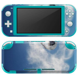 igsticker Nintendo Switch Lite p fUCXLV[ S jeh[ XCb` Cg p Q[@ Jo[ ANZT[ tB XebJ[ GAt[ 003388 X|[c X|[c@@