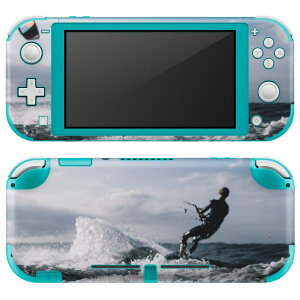 igsticker Nintendo Switch Lite p fUCXLV[ S jeh[ XCb` Cg p Q[@ Jo[ ANZT[ tB XebJ[ GAt[ 022840 T[tB@C@ʐ^