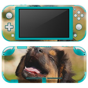 igsticker Nintendo Switch Lite p fUCXLV[ S jeh[ XCb` Cg p Q[@ Jo[ ANZT[ tB XebJ[ GAt[ 022861 @@ʐ^