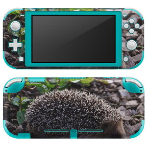 igsticker Nintendo Switch Lite p fUCXLV[ S jeh[ XCb` Cg p Q[@ Jo[ ANZT[ tB XebJ[ GAt[ 022867 nlY~@ʐ^