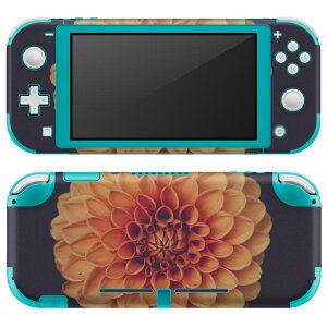 igsticker Nintendo Switch Lite p fUCXLV[ S jeh[ XCb` Cg p Q[@ Jo[ ANZT[ tB XebJ[ GAt[ 022891 ԁ@ʐ^
