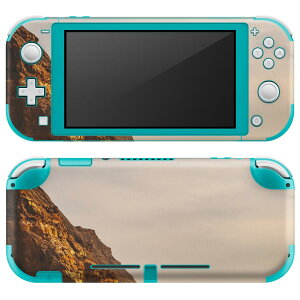 igsticker Nintendo Switch Lite p fUCXLV[ S jeh[ XCb` Cg p Q[@ Jo[ ANZT[ tB XebJ[ GAt[ 022953 T[tB@C@ʐ^@
