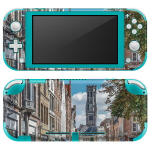 igsticker Nintendo Switch Lite p fUCXLV[ S jeh[ XCb` Cg p Q[@ Jo[ ANZT[ tB XebJ[ GAt[ 022966 i@ʐ^@X