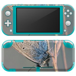 igsticker Nintendo Switch Lite p fUCXLV[ S jeh[ XCb` Cg p Q[@ Jo[ ANZT[ tB XebJ[ GAt[ 023050 X@ԁ@ʐ^